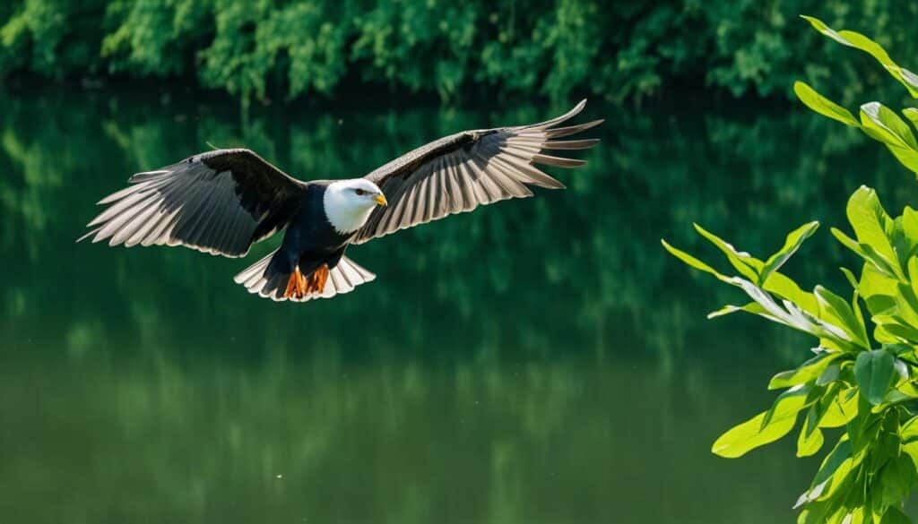 Europaschutzgebiet Traun-Donauauen Europaschutzgebiet Traun-Donauauen