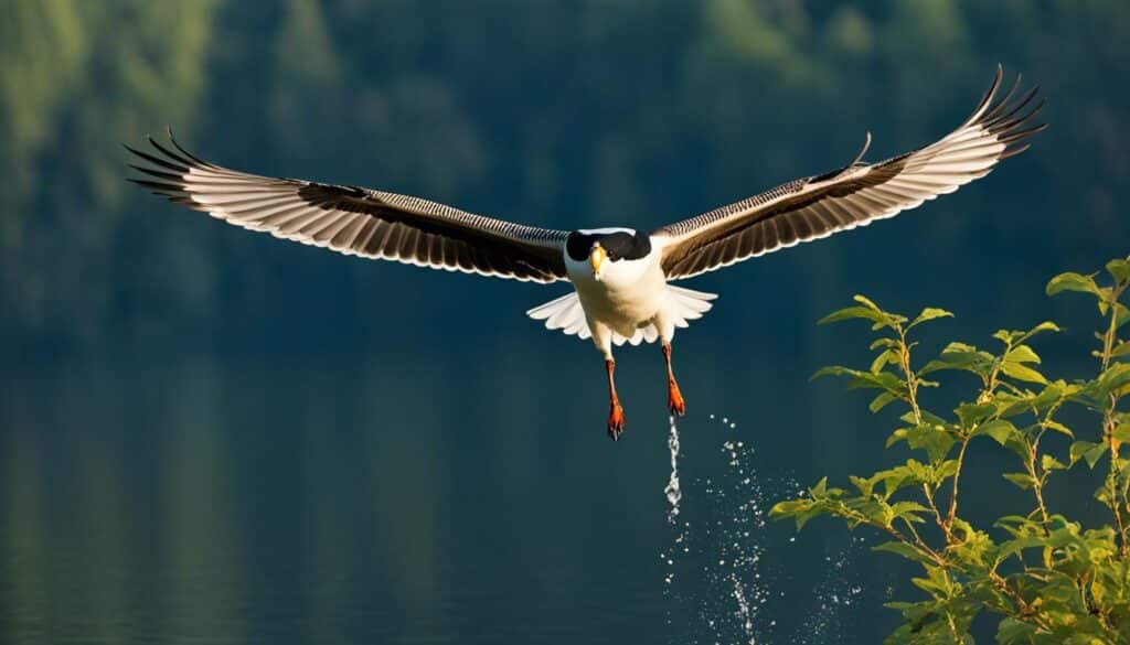 Kulturelle Bedeutung des Singschwans