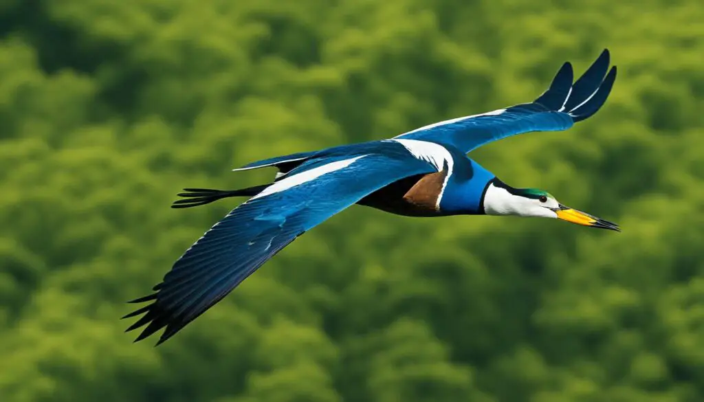 Mehlschwalbe Schutzstatus Mehlschwalbe Schutzstatus