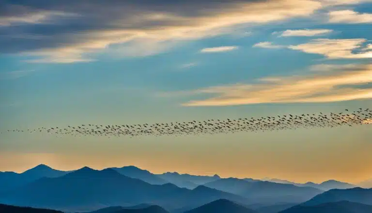 Welche Vögel können zwei bis drei Jahre ununterbrochen in der Luft bleiben?