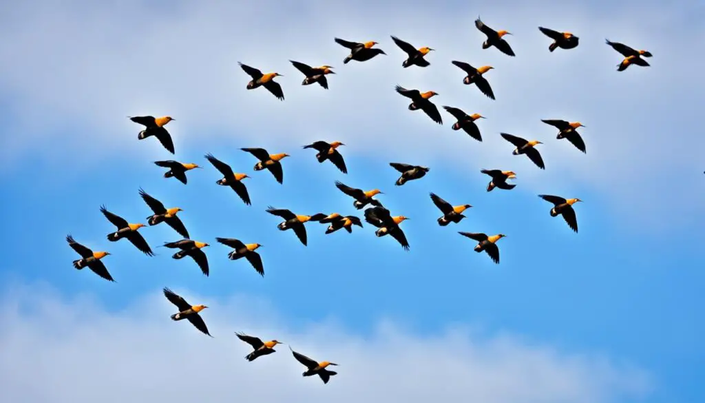 Vögel mit beeindruckenden Flugleistungen