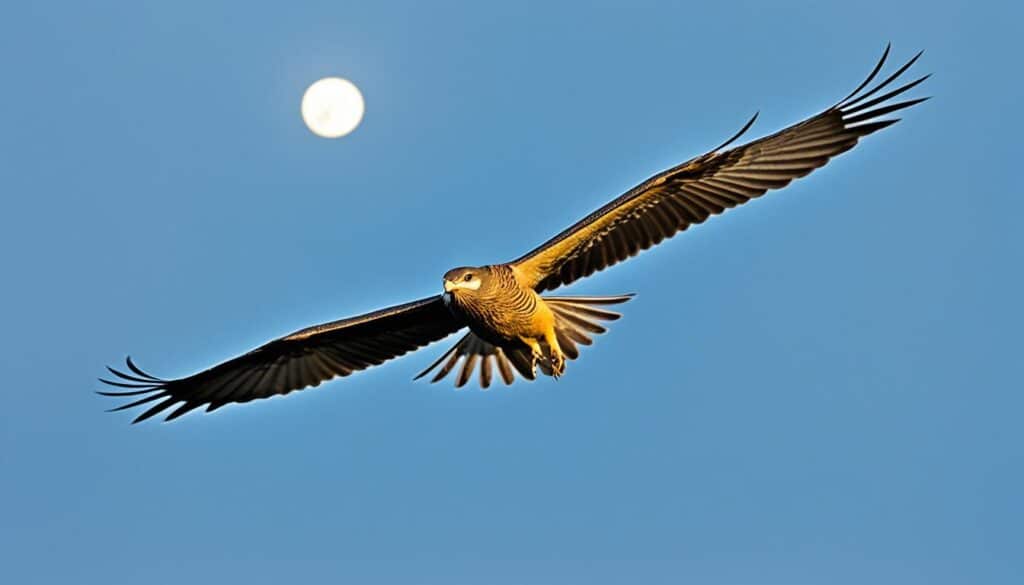 nachtaktive greifvögel