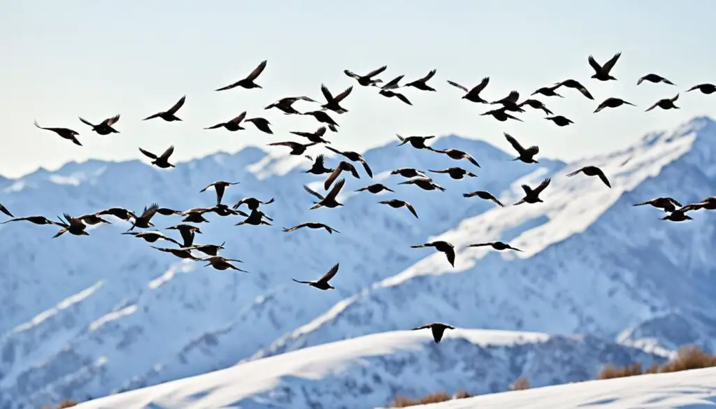 vögel im winter